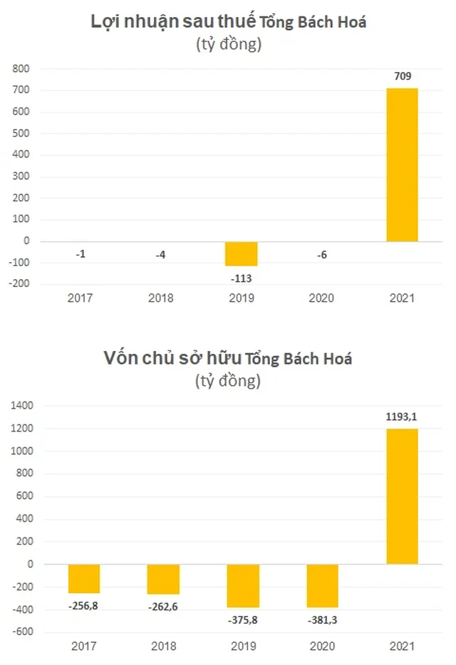 Đình chỉ tư cách kiểm toán viên ký báo cáo kiểm toán cho công ty liên quan đến Tân Hoàng Minh - Ảnh 1.