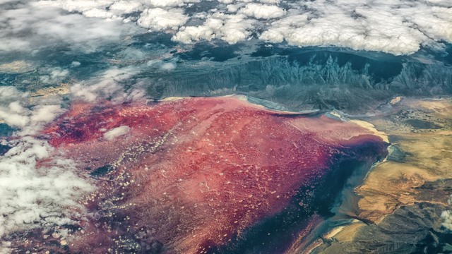 Hồ nước đỏ ở Tanzania này sở hữu siêu năng lực biến hầu hết các sinh vật thành đá - Ảnh 8.