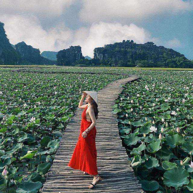 Don't miss the most beautiful lotus season in Ninh Binh: Every corner is breathtaking!  - Photo 17.