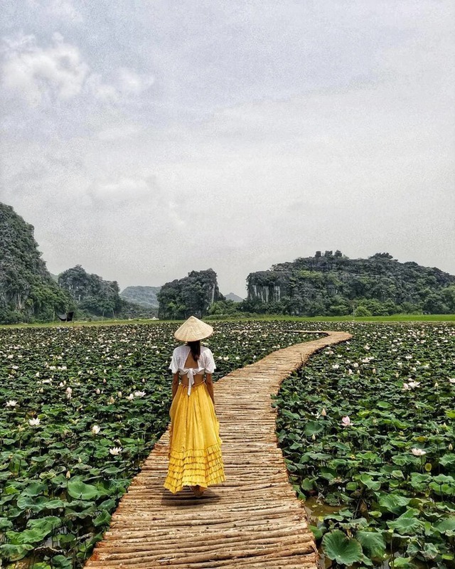 Don't miss the most beautiful lotus season in Ninh Binh: Every corner is breathtaking!  - Photo 18.