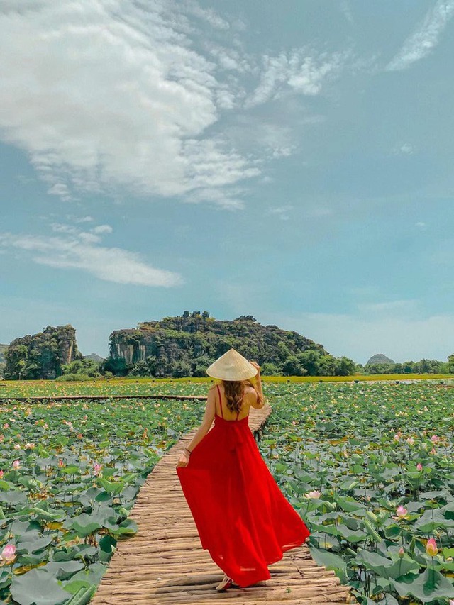 Don't miss the most beautiful lotus season in Ninh Binh: Every corner is breathtaking!  - Photo 19.