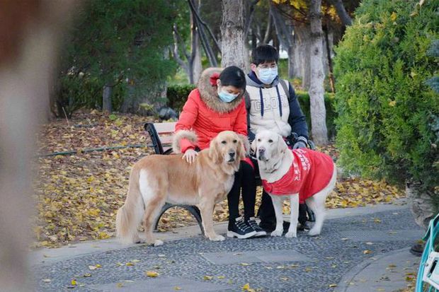 Cô gái sống lang bạt chấp nhận chuyển nhà 21 lần vì nuôi 2 chú chó, và những câu chuyện chan nước mắt lẫn tiếng cười - Ảnh 4.