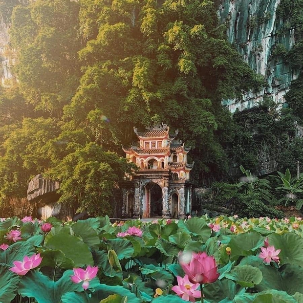 Don't miss the most beautiful lotus season in Ninh Binh: Every corner is breathtaking!  - Photo 7.