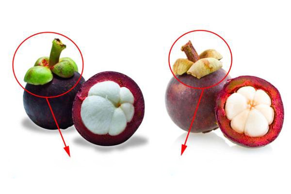   Buy damaged mangosteen, growers tell to look at one spot on the peel, make sure that any fruit is delicious - Photo 3.