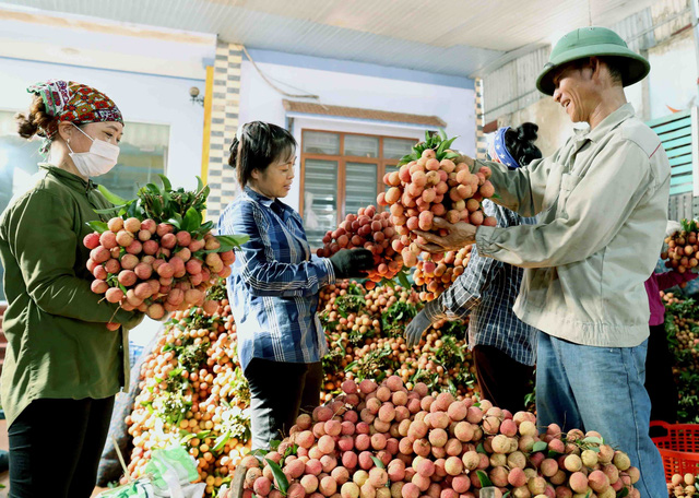 Gần 450.000 đồng/kg vải thiều tại Mỹ - Ảnh 1.