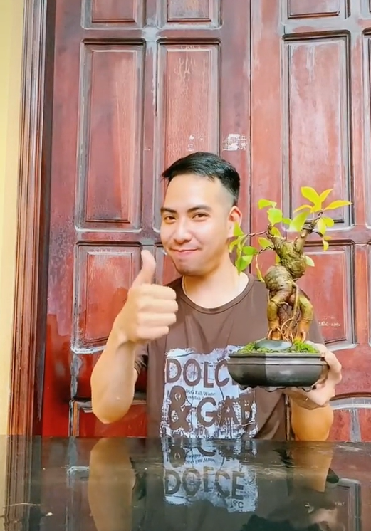 Ông bố chuyên đi lang thang nhặt cây đào rác về làm bonsai kiếm bạc triệu, đòi mua nguyên cả căn nhà chỉ để nhổ mỗi mầm cây mọc trên tường! - Ảnh 1.