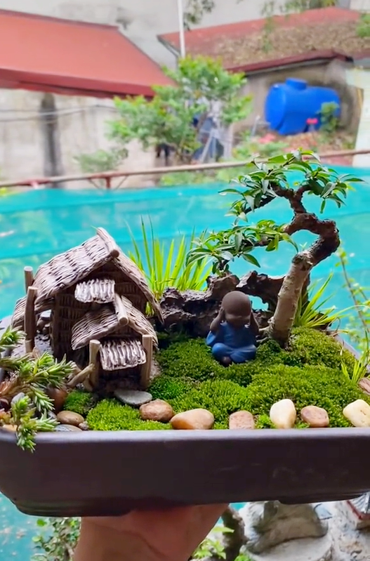 Ông bố chuyên đi lang thang nhặt cây đào rác về làm bonsai kiếm bạc triệu, đòi mua nguyên cả căn nhà chỉ để nhổ mỗi mầm cây mọc trên tường! - Ảnh 9.