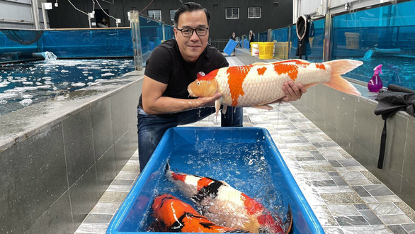 ‘Vua cá Koi’ Thắng Ngô: Từng kinh doanh BĐS và nợ như ‘chúa Chổm’, giờ là đại gia chơi siêu xe có tiếng, sở hữu siêu thị cá Koi lớn hàng đầu thế giới - Ảnh 1.