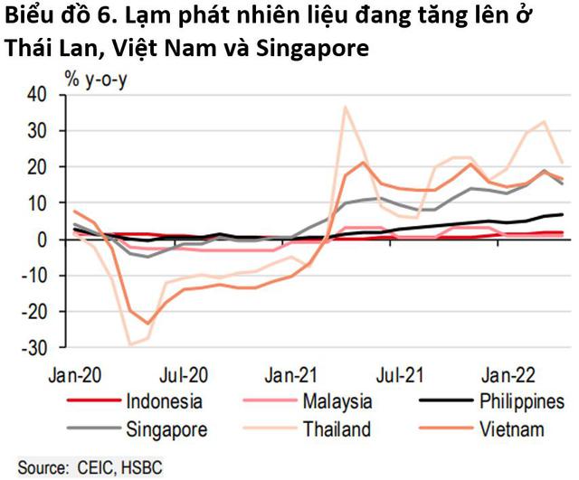 Lạm phát nhiên liệu của Việt Nam cao hay thấp so với các nước trong khu vực? - Ảnh 2.
