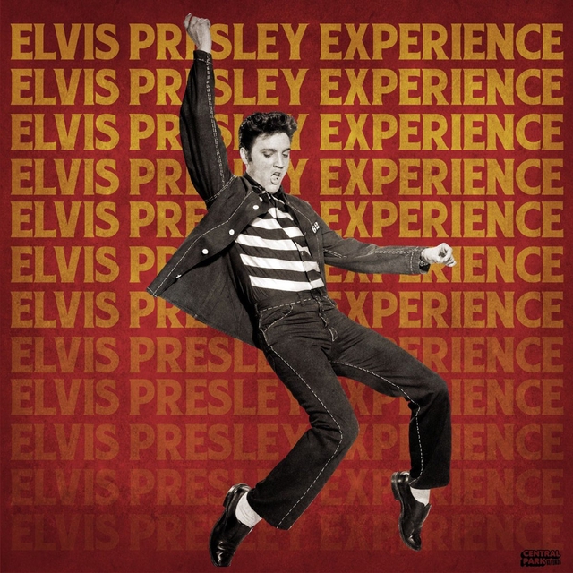 Elvis Presley - Từ cậu bé nghèo đến Ông hoàng nhạc Rock and Roll - Ảnh 2.
