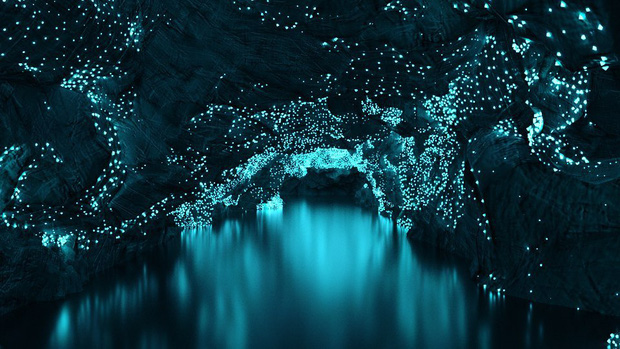 Mê mẩn trước vẻ đẹp kỳ ảo của hang động đom đóm ở New Zealand - Ảnh 2.