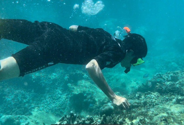Khánh Hòa tạm dừng du lịch lặn biển để cứu san hô ở Hòn Mun - Ảnh 1.