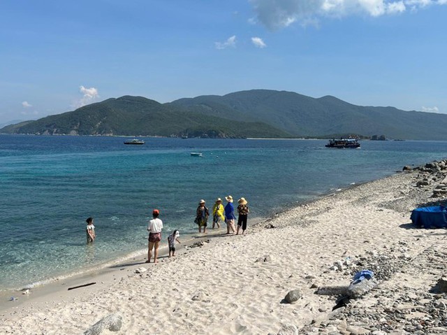 Khánh Hòa tạm dừng du lịch lặn biển để cứu san hô ở Hòn Mun - Ảnh 5.