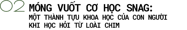 Giờ đây các nhà khoa học đã có thể chế tạo ra một con robot sở hữu khả năng bay lượn và hạ cánh như loài chim! - Ảnh 6.