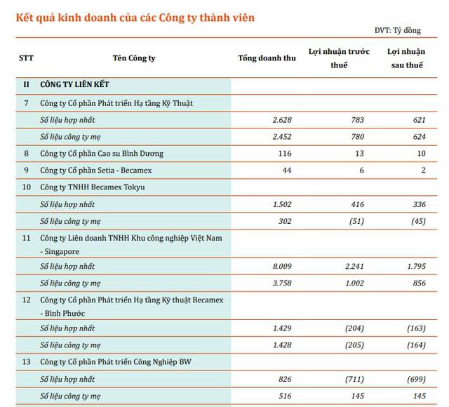  Sở hữu hàng nghìn hecta khu công nghiệp, 2 đầu tàu kinh tế Sonadezi và Becamex của tỉnh Đồng Nai, Bình Dương đang làm ăn ra sao?  - Ảnh 4.