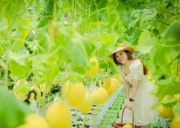 Mê trồng trọt, nữ giám đốc chịu chơi bê luôn vườn 250m2 lên sân thượng, bội thu rau trái - Ảnh 5.