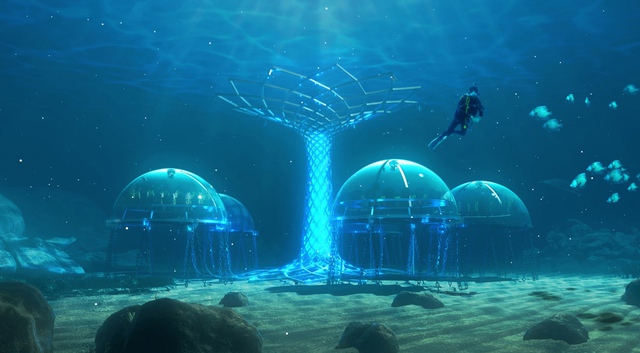   Scientific miracle: Nemo Garden, an undersea vegetable farm - Photo 4.