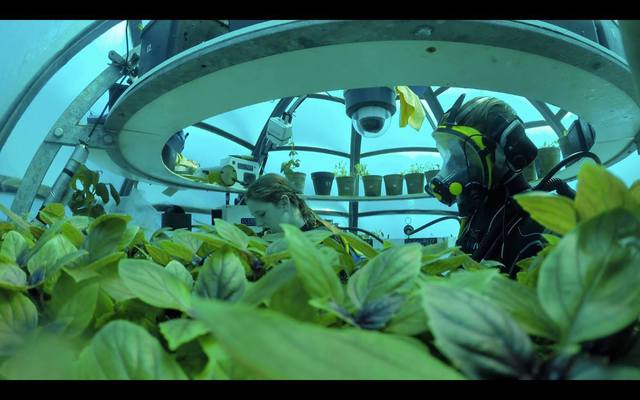   Scientific miracle: Nemo Garden, an undersea vegetable farm - Photo 6.