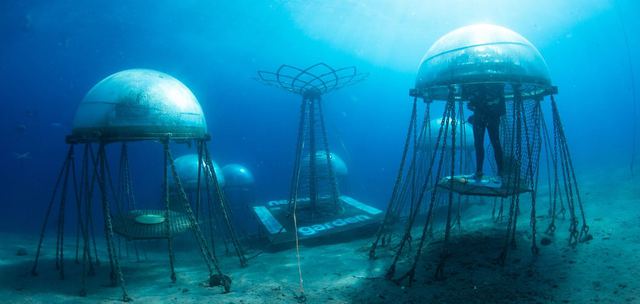   Scientific miracle: Nemo Garden, an undersea vegetable farm - Photo 8.