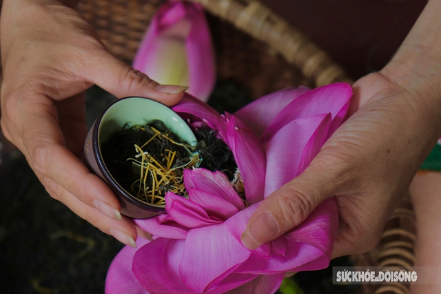 The feat of marinating tea encapsulates the quintessence of thousands of West Lake lotus flowers - Photo 5.