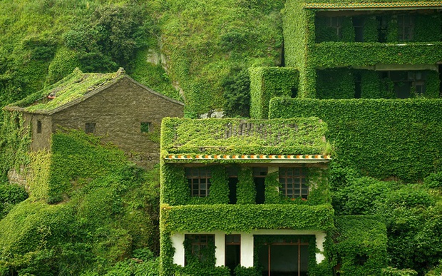 The unfortunate village in China: The richest but abandoned, now becoming a green pearl that is sought after by tourists - Photo 5.