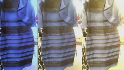Trắng xanh hay vàng đen: Cách chiếc váy gây tranh cãi nhất mạng xã hội tạo ra đột phá về khoa học thần kinh - Ảnh 2.