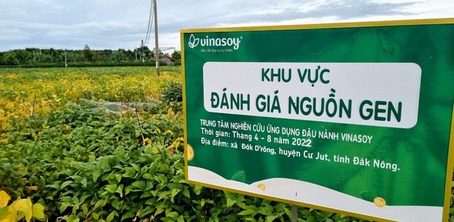 Vinasoy và chiến lược mạnh mẽ hậu Covid-19: Ra mắt sữa chua từ hạt đậu nành đầu tiên tại Việt Nam, khảo nghiệm toàn bộ 1.533 nguồn gen quý sau 10 năm thu thập - Ảnh 1. Vinasoy và chiến lược mạnh mẽ hậu Covid-19: Ra mắt sữa chua từ hạt đậu nành đầu tiên tại Việt Nam, khảo nghiệm toàn bộ 1.533 nguồn gen quý sau 10 năm thu thập - Ảnh 1.