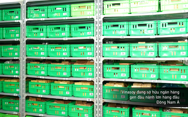 Vinasoy và chiến lược mạnh mẽ hậu Covid-19: Ra mắt sữa chua từ hạt đậu nành đầu tiên tại Việt Nam, khảo nghiệm toàn bộ 1.533 nguồn gen quý sau 10 năm thu thập - Ảnh 2. Vinasoy và chiến lược mạnh mẽ hậu Covid-19: Ra mắt sữa chua từ hạt đậu nành đầu tiên tại Việt Nam, khảo nghiệm toàn bộ 1.533 nguồn gen quý sau 10 năm thu thập - Ảnh 2.