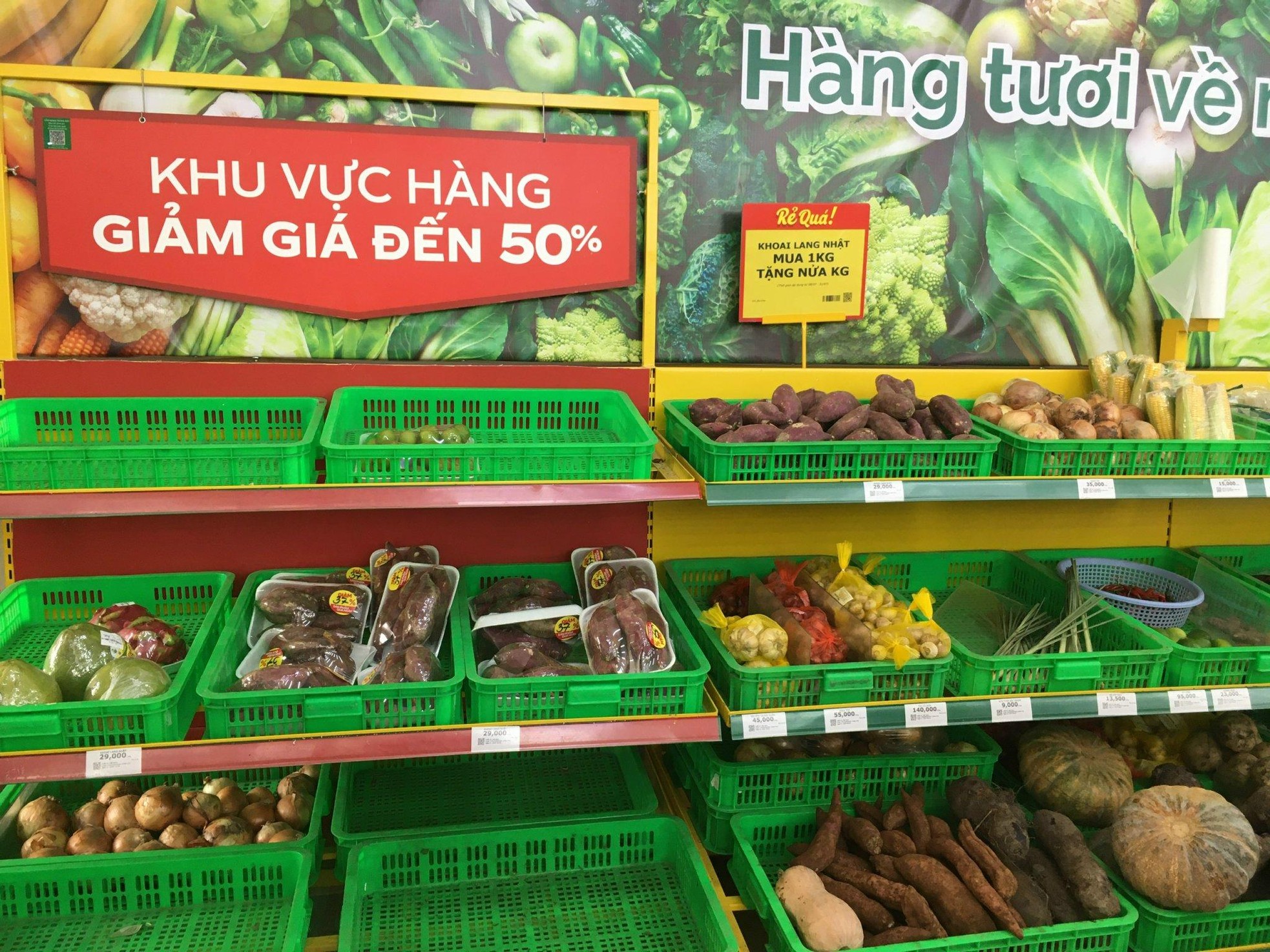 Vì sao hàng trăm cửa hàng Bách hóa Xanh đóng cửa? - Ảnh 5. Vì sao hàng trăm cửa hàng Bách hóa Xanh đóng cửa? - Ảnh 5.