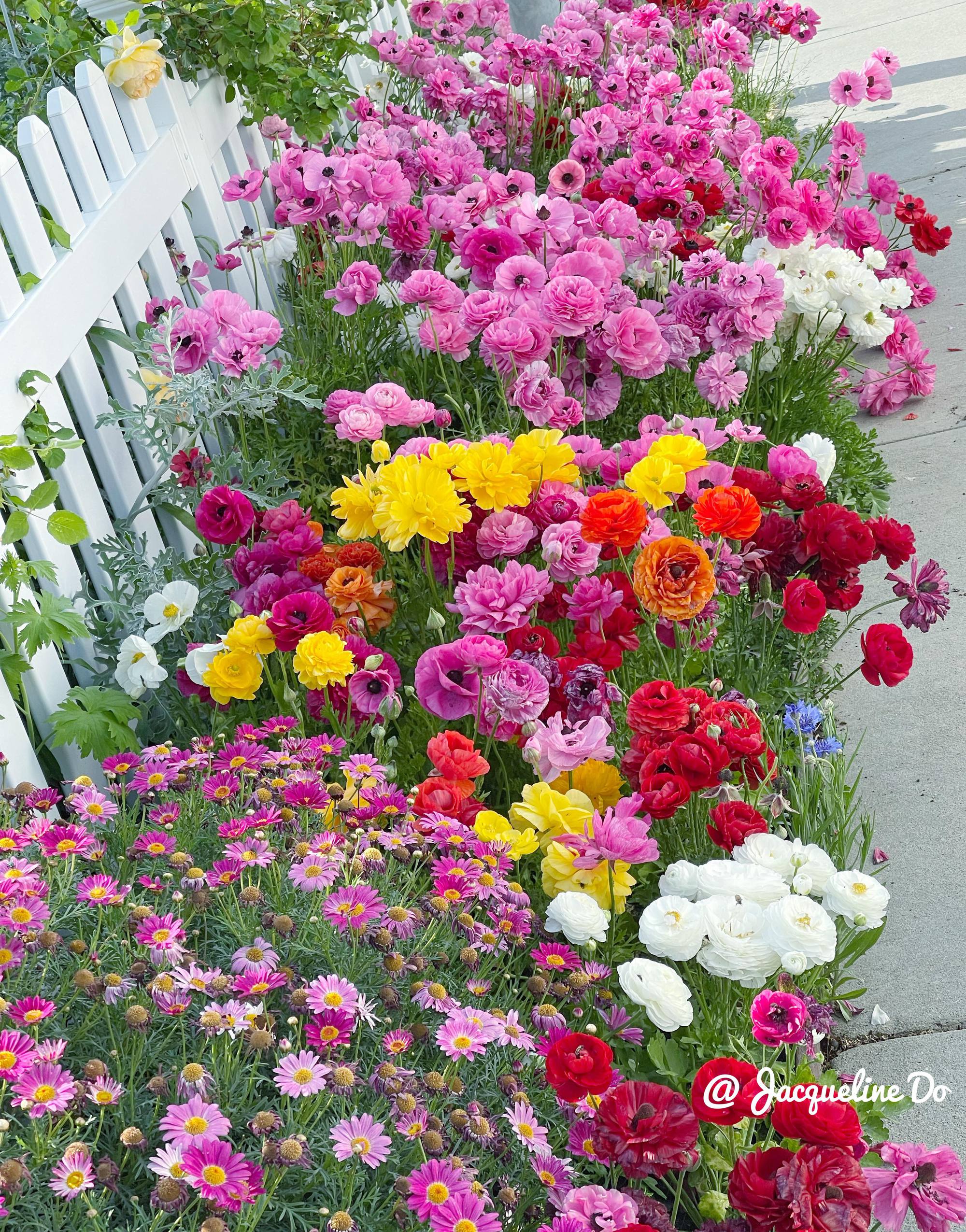 Người phụ nữ Việt ‘cõng giấc mơ hoa’ tự tay dựng nên ‘vườn địa đàng’ đẹp như cổ tích - Ảnh 11.