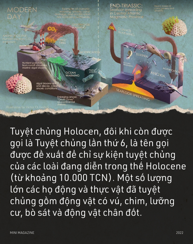 Tại sao sự tuyệt chủng hàng loạt lại xảy ra? - Ảnh 16.