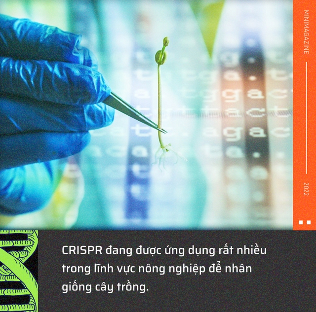 Tròn một thập kỷ CRISPR: Từ nghiên cứu bị lãng quên đến giải Nobel kiến tạo kỷ nguyên mới - Ảnh 13.