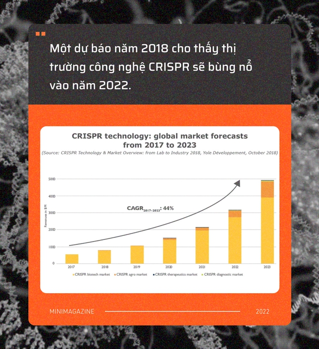 Tròn một thập kỷ CRISPR: Từ nghiên cứu bị lãng quên đến giải Nobel kiến tạo kỷ nguyên mới - Ảnh 17.