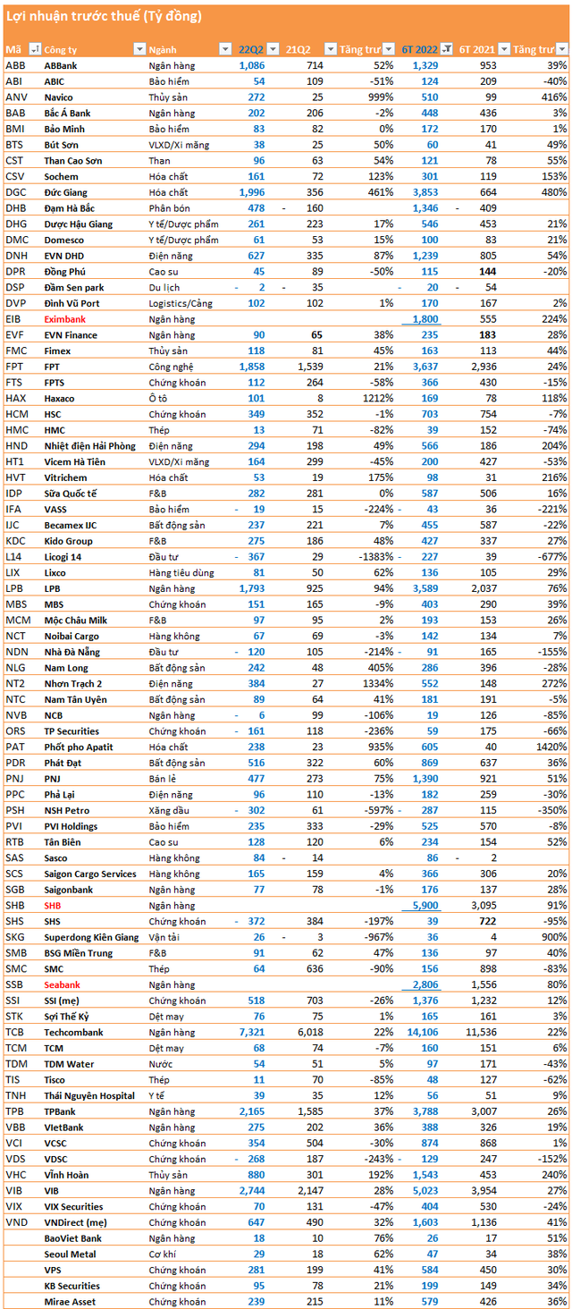  Cập nhật mùa BCTC quý 2: Loạt công ty chứng khoán, ngân hàng lớn đã công bố, nhiều doanh nghiệp vẫn đạt tăng trưởng cao  - Ảnh 6.