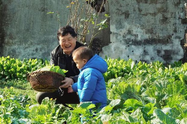  Bán nhà thành phố về quê sống đời nhẹ tênh: Mua hẳn 12.000m2 đất làm trang trại, xây biệt thự trên cánh đồng - Ảnh 9.