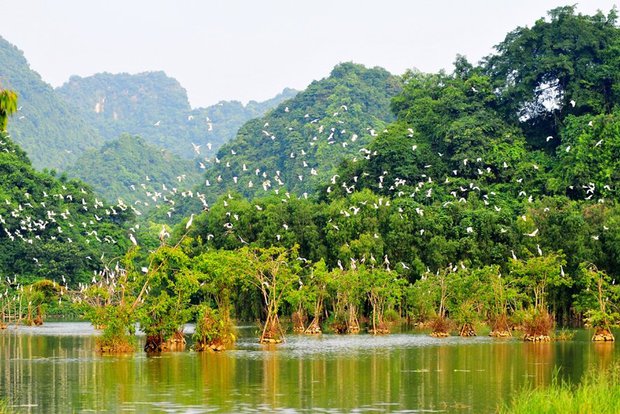  Đến Ninh Bình, đừng chỉ sống ảo với Hang Múa hay Tràng An mà bỏ qua nhiều cảnh sắc đẹp và hùng vĩ không kém - Ảnh 12.