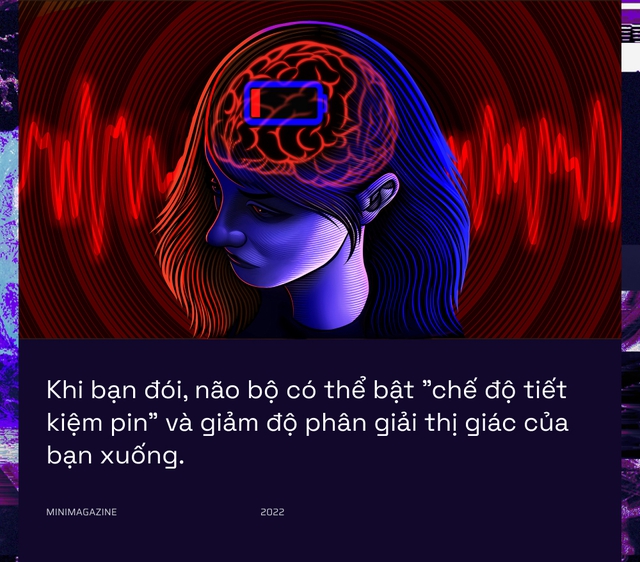  Khi bạn đói, não bộ có thể bật chế độ tiết kiệm pin và giảm độ phân giải thị giác của bạn xuống  - Ảnh 1.