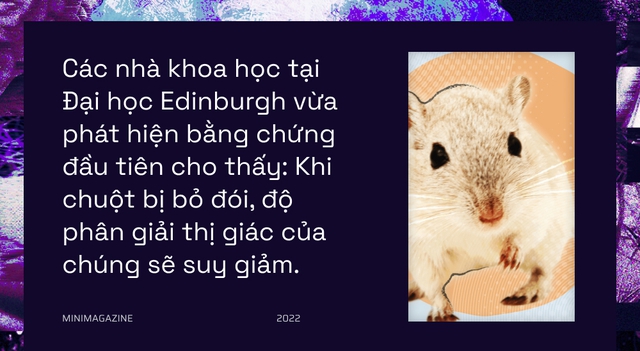  Khi bạn đói, não bộ có thể bật chế độ tiết kiệm pin và giảm độ phân giải thị giác của bạn xuống  - Ảnh 2.