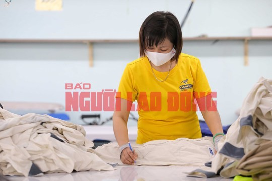 Ồ ạt rút BHXH một lần: Có nên khống chế tuổi nghỉ hưu? - Ảnh 1. Ồ ạt rút BHXH một lần: Có nên khống chế tuổi nghỉ hưu? - Ảnh 1.