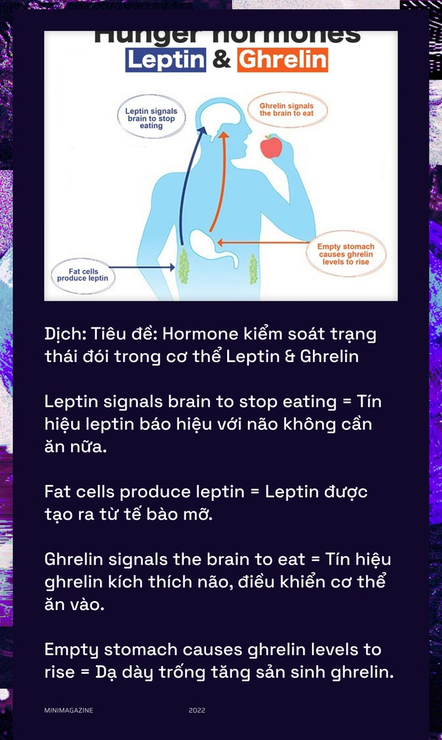  Khi bạn đói, não bộ có thể bật chế độ tiết kiệm pin và giảm độ phân giải thị giác của bạn xuống  - Ảnh 11.