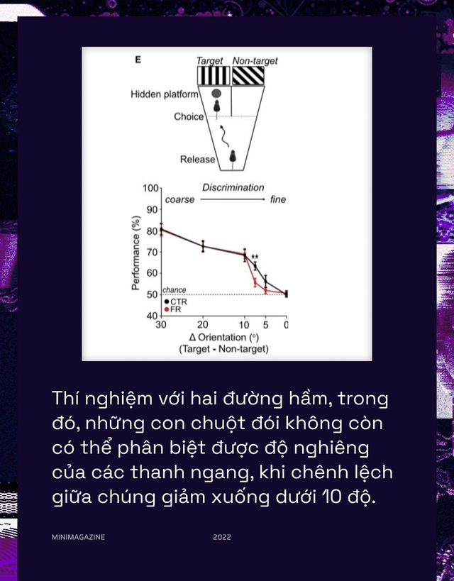  Khi bạn đói, não bộ có thể bật chế độ tiết kiệm pin và giảm độ phân giải thị giác của bạn xuống  - Ảnh 9.