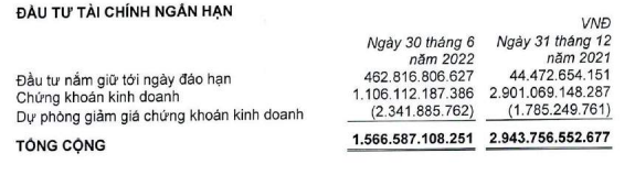 6 tháng đầu năm 2022, tập đoàn nông nghiệp của tỷ phú Nguyễn Duy Hưng lãi ròng gấp 2,5 lần cùng kỳ - Ảnh 2.