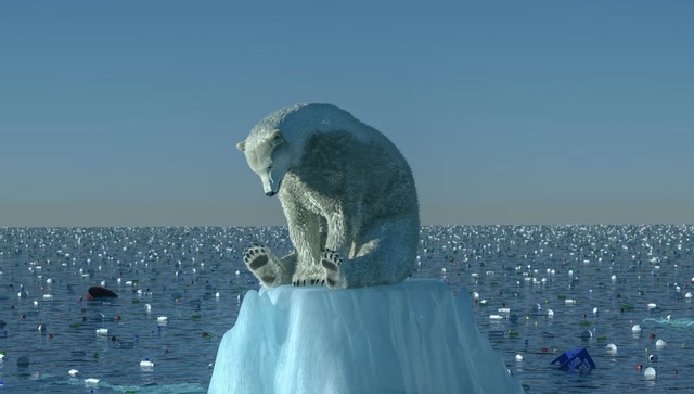 Ngày càng nhiều gấu Bắc Cực đói bụng phải vào bãi rác kiếm ăn - Ảnh 3.