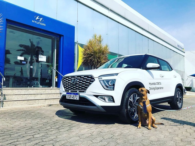  Hyundai tuyển chó làm nhân viên, đặt tên là Tucson và hút khách chưa từng thấy  - Ảnh 5.
