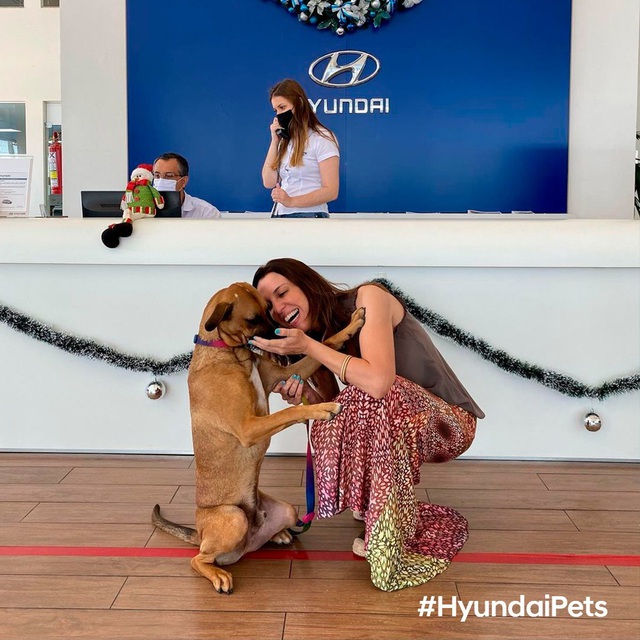  Hyundai tuyển chó làm nhân viên, đặt tên là Tucson và hút khách chưa từng thấy  - Ảnh 8.