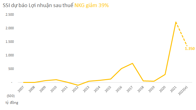 Vì sao SSI hạ dự báo lợi nhuận năm 2022 của Hoà Phát, Nam Kim, Hoa Sen so với năm 2021? - Ảnh 3.