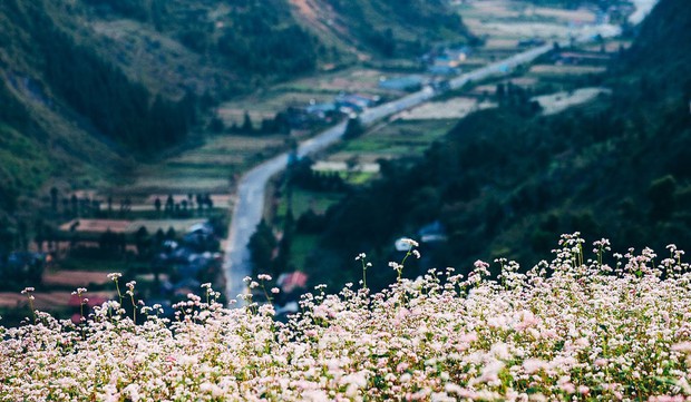 5 nơi đẹp nhất vào mùa thu ở Việt Nam: Địa danh cuối cùng các cặp đôi không nên bỏ lỡ  - Ảnh 6.