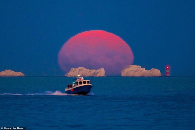  Ngắm siêu trăng cá tầm tỏa sáng khắp thế giới  - Ảnh 3.