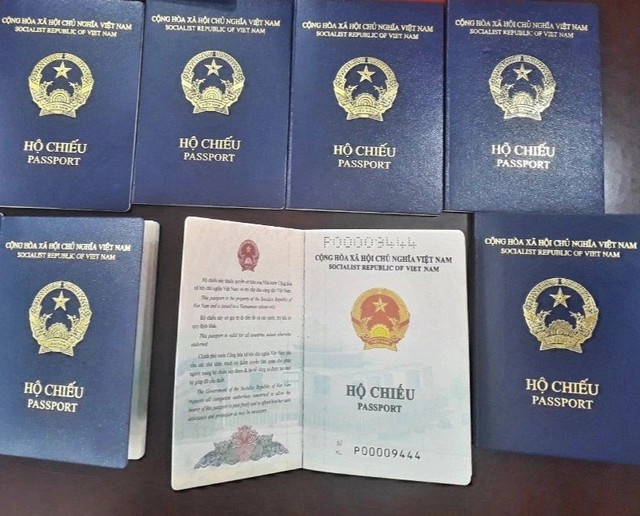 Đức sẽ cấp thị thực cho hộ chiếu mẫu mới của Việt Nam có bổ sung thông tin nơi sinh tại bị chú - Ảnh 1.