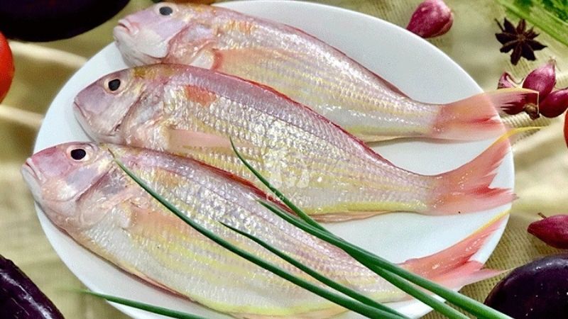 Cá rất ngon bổ nhưng có 4 loại không nên ăn vì chứa hàm lượng thủy ngân cao, dễ gây ngộ độc và ung thư - Ảnh 1.